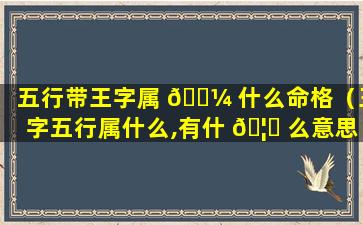 五行带王字属 🐼 什么命格（王字五行属什么,有什 🦟 么意思）